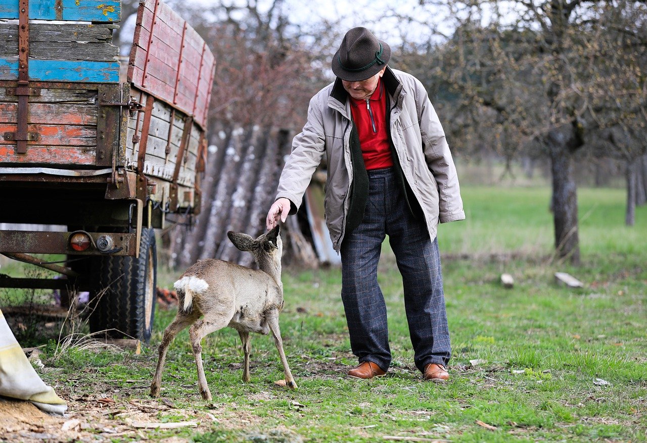How to Conduct Research on Human-Animal Interactions